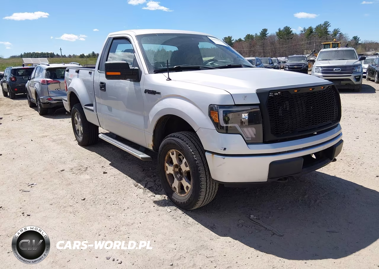 2009 Ford F-150 Stx-Xlt