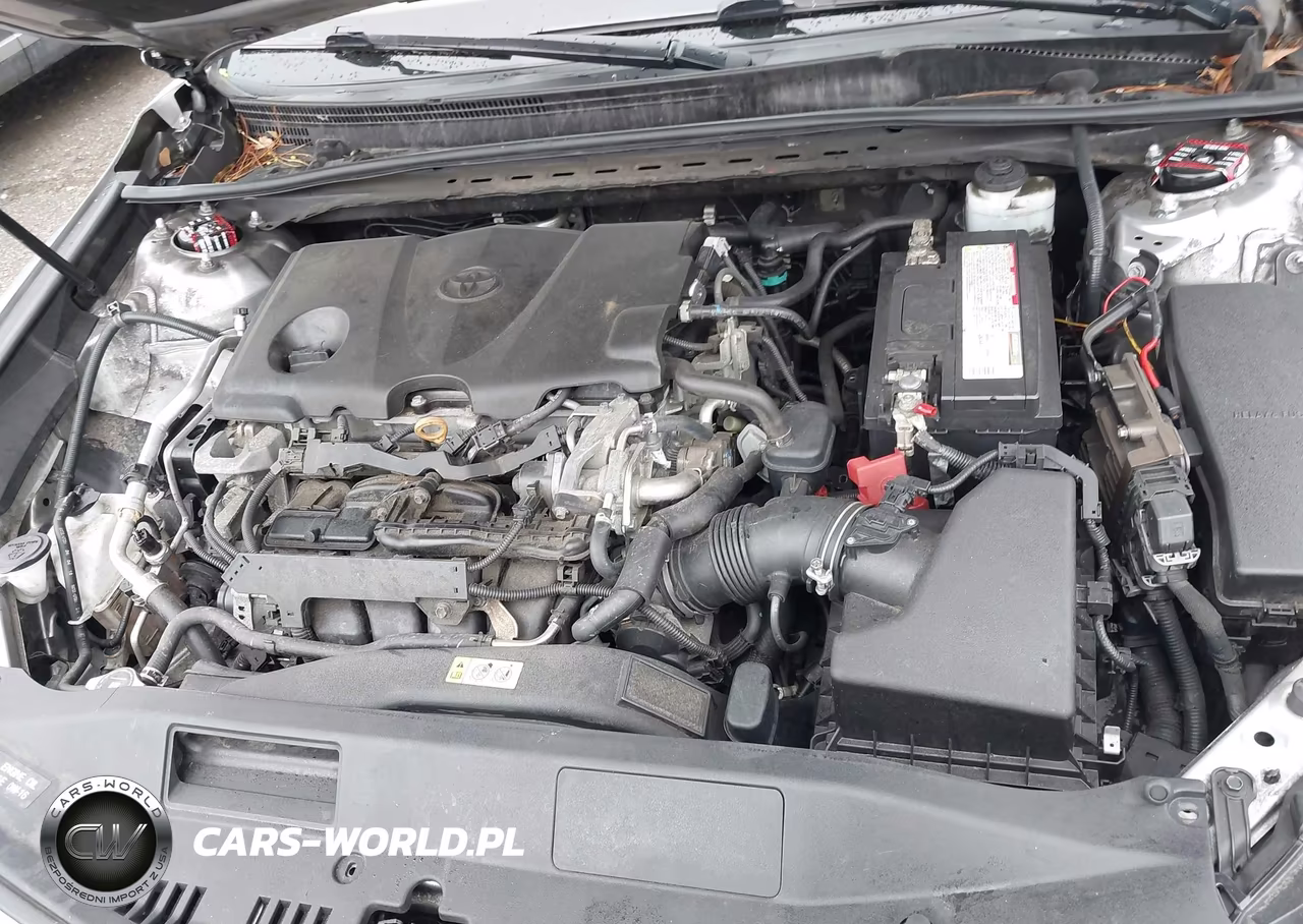 2019 Toyota Camry Se VIN:4T1B11HKXKU725548 - 10