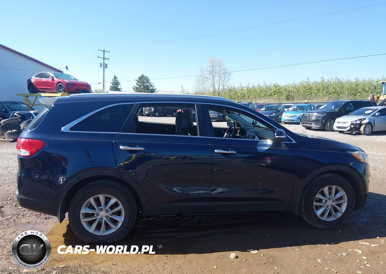 2016 Kia Sorento 2.4L Lx VIN:5XYPG4A35GG137711 - 13