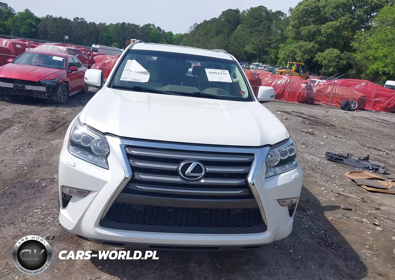 2019 Lexus Gx 460 Premium VIN:JTJBM7FX4K5237670 - 12