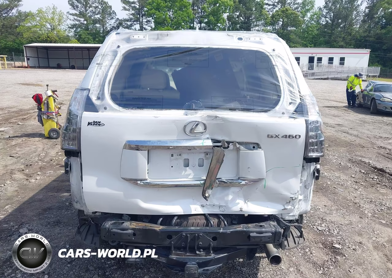 2019 Lexus Gx 460 Premium VIN:JTJBM7FX4K5237670 - 16
