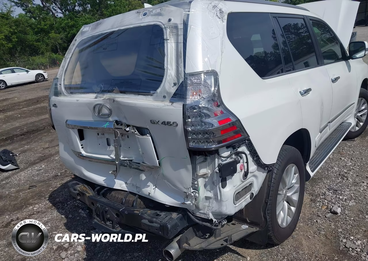 2019 Lexus Gx 460 Premium VIN:JTJBM7FX4K5237670 - 6