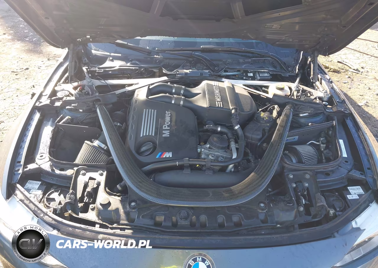 2015 BMW M4 VIN:WBS3R9C52FK329206 - 10