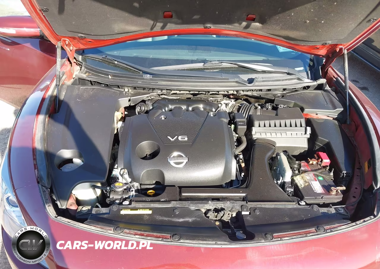 2010 Nissan Maxima 3.5 Sv VIN:1N4AA5AP2AC840717 - 10