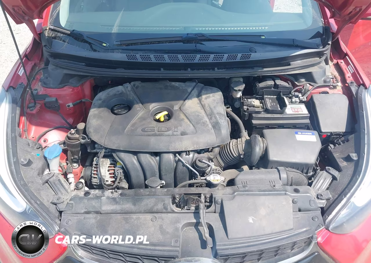 2014 Hyundai Elantra VIN:KMHDH6AH5EU024890 - 10