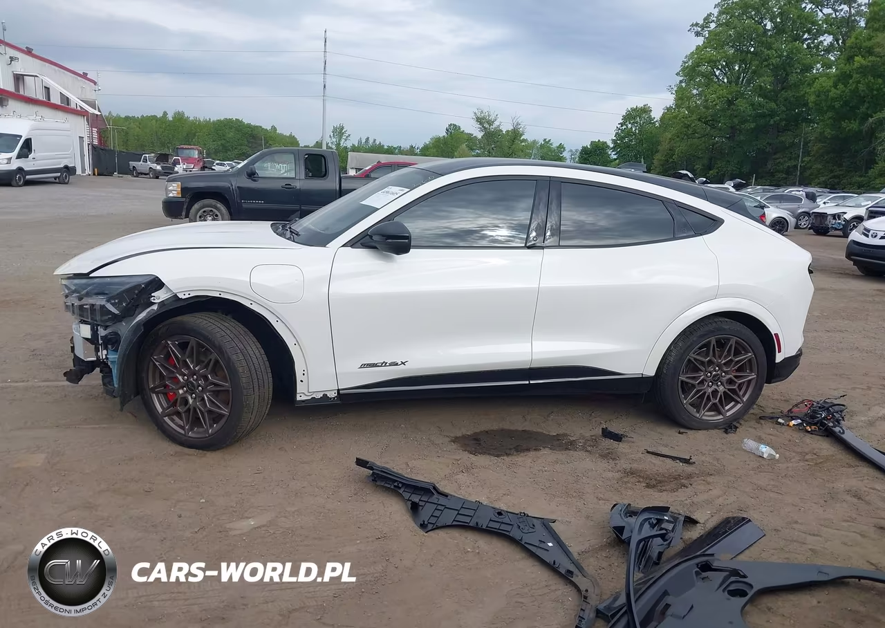 2025 Ford Mustang Mach-E Gt VIN:3FMTK4SXXSMA32345 - 15