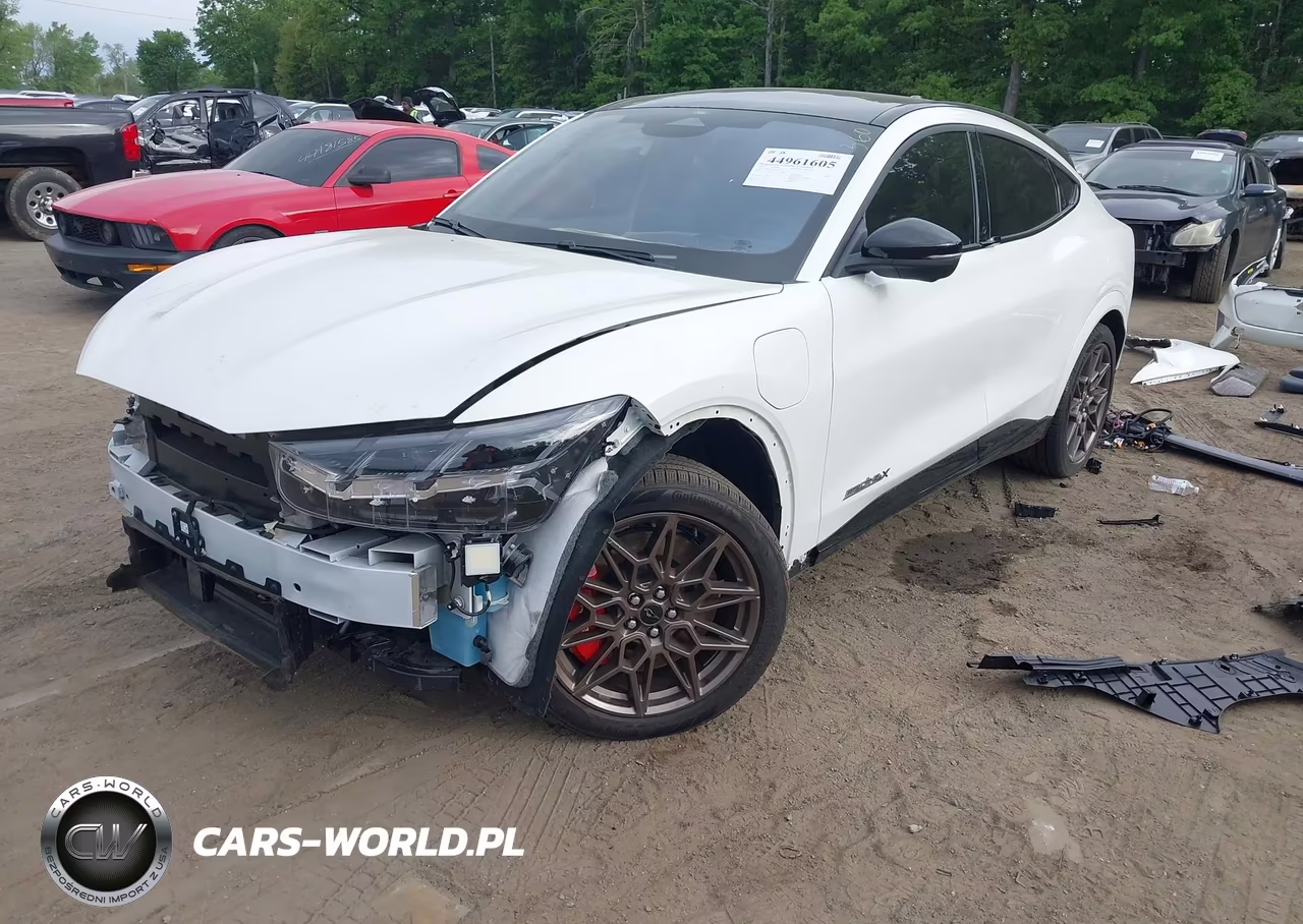 2025 Ford Mustang Mach-E Gt VIN:3FMTK4SXXSMA32345 - 2