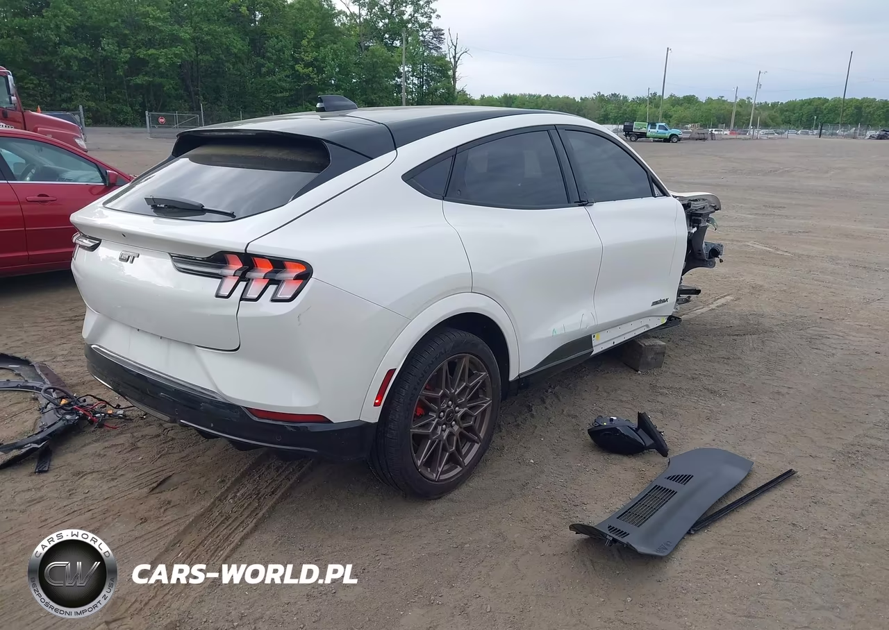 2025 Ford Mustang Mach-E Gt VIN:3FMTK4SXXSMA32345 - 4