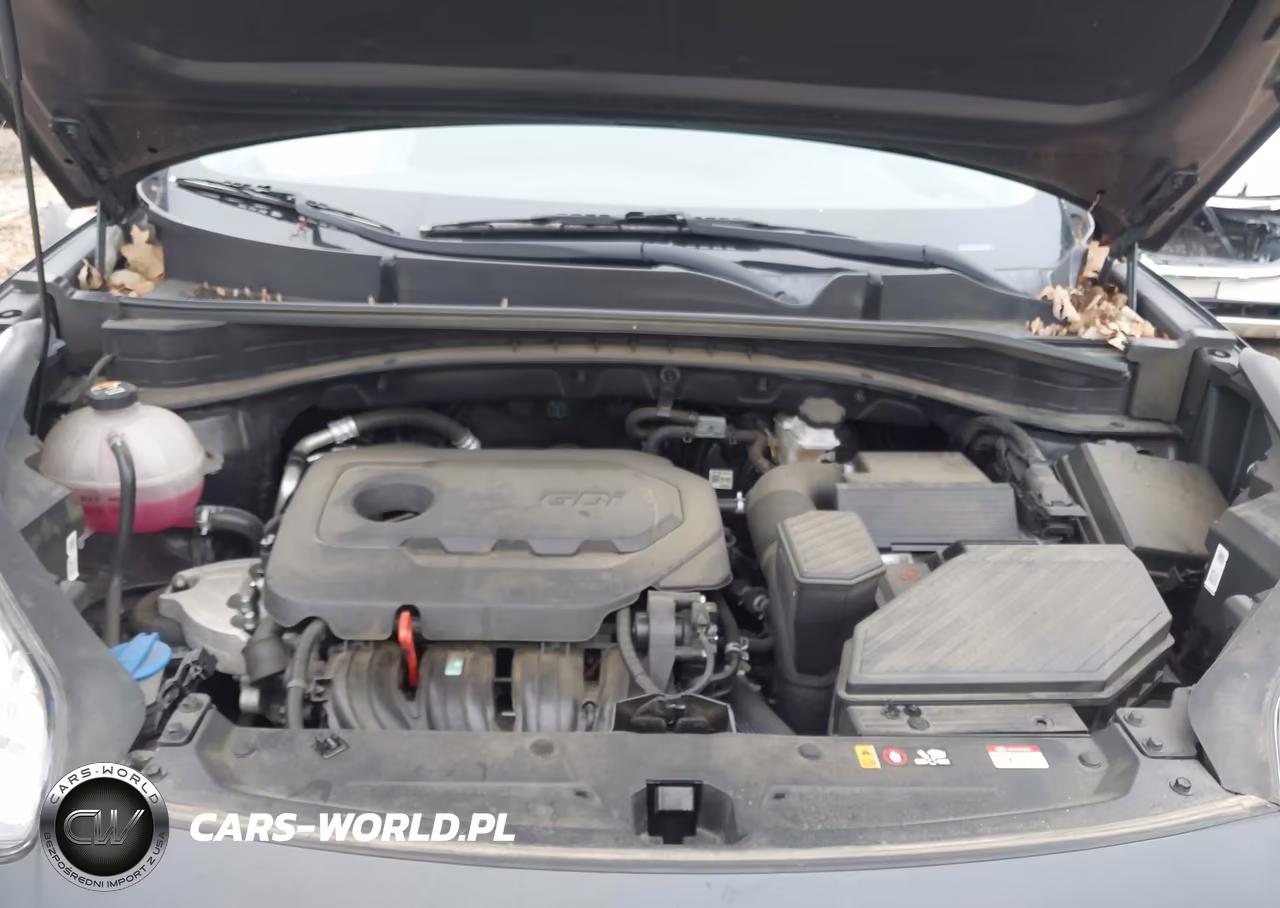 2021 Kia Sportage Lx VIN:KNDPM3AC3M7914124 - 10