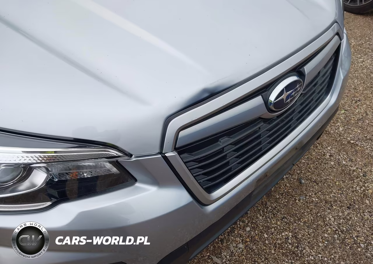 2019 Subaru Forester Premium VIN:JF2SKAEC0KH407947 - 6
