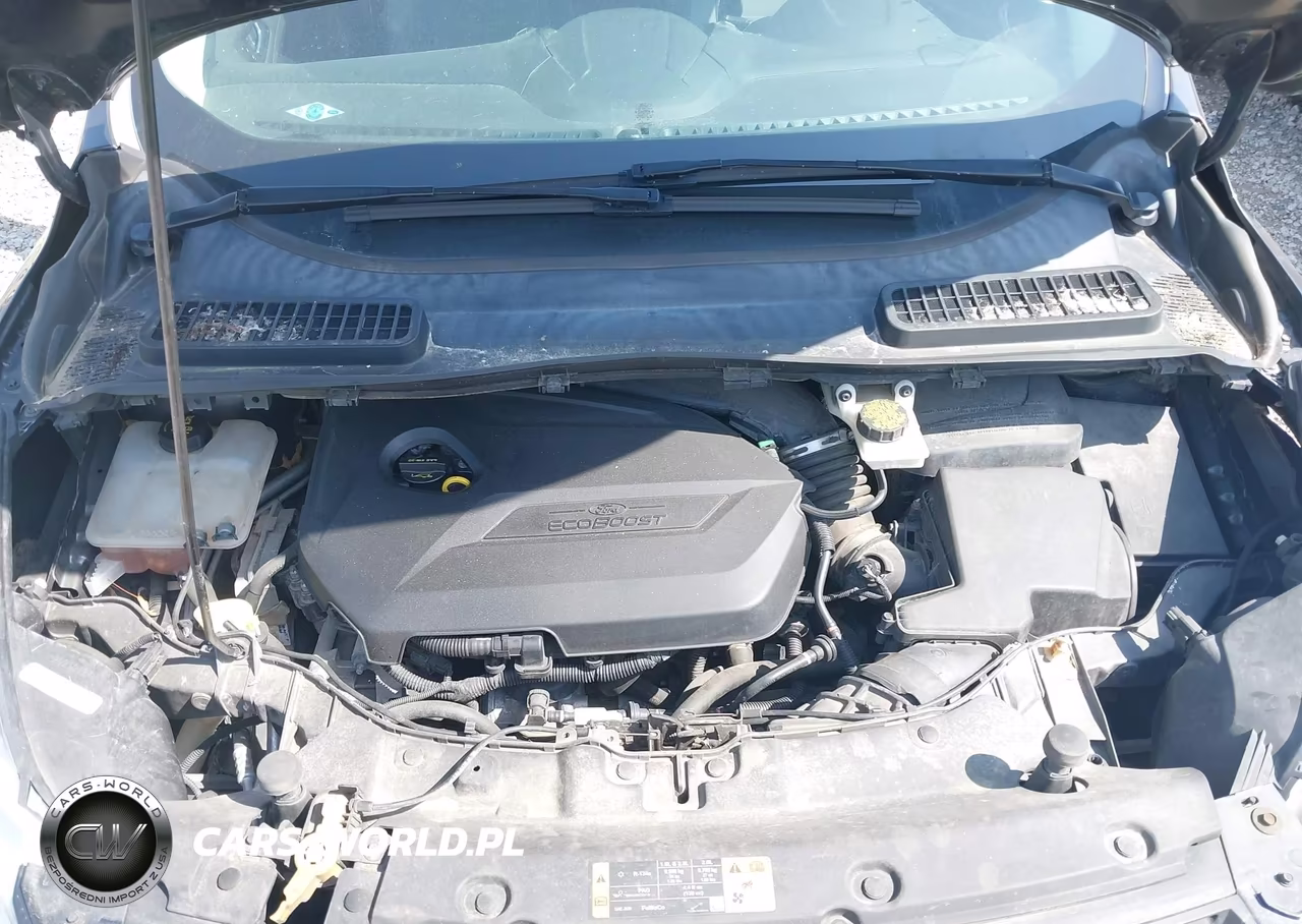 2015 Ford Escape Se VIN:1FMCU0GX0FUA40970 - 10