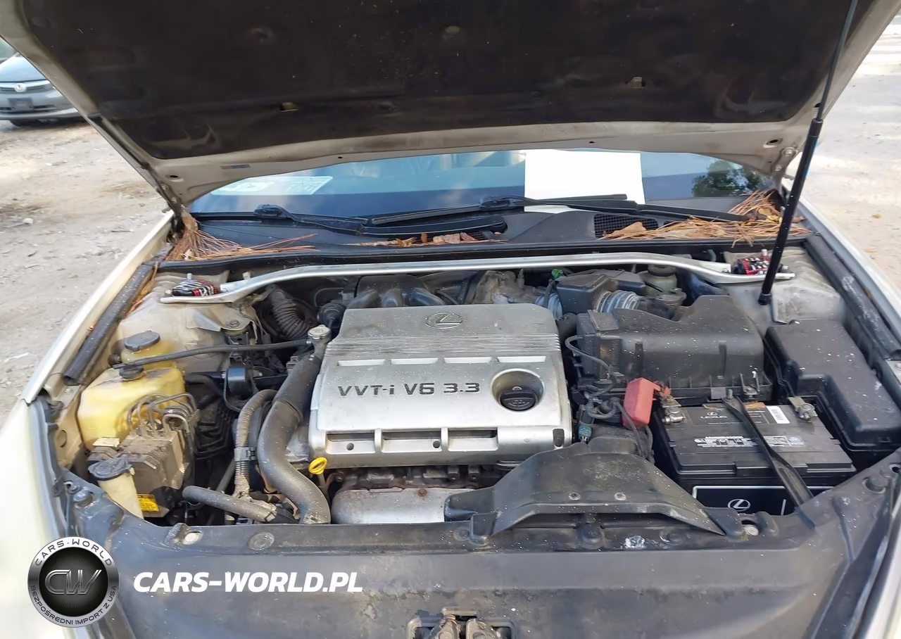 2004 Lexus Es 330 VIN:JTHBA30G845016376 - 10