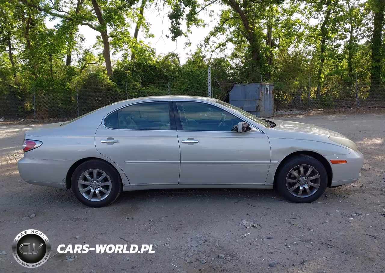 2004 Lexus Es 330 VIN:JTHBA30G845016376 - 13
