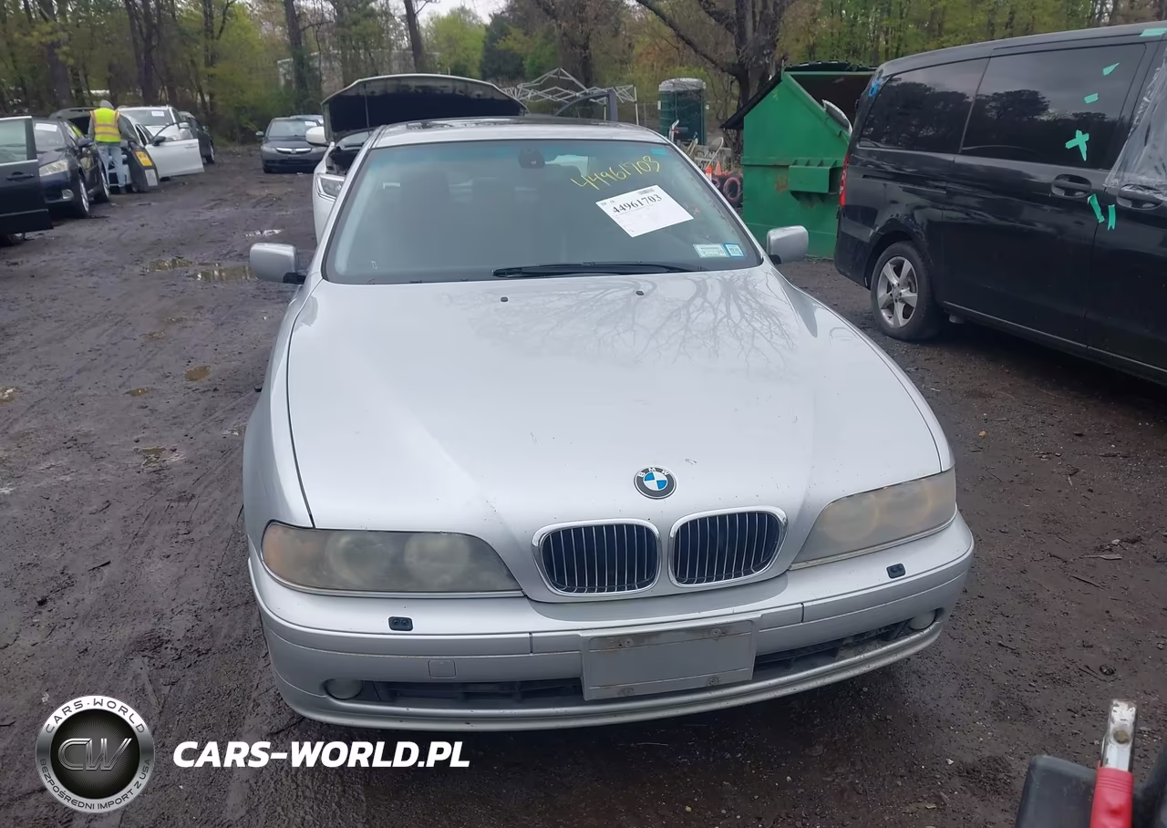 2001 BMW 540Ia VIN:WBADN63491GM70229 - 12