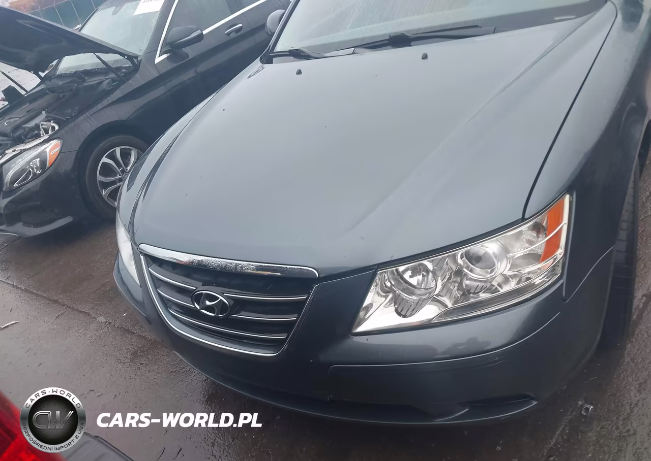 2010 Hyundai Sonata Gls VIN:5NPET4AC5AH630825 - 6