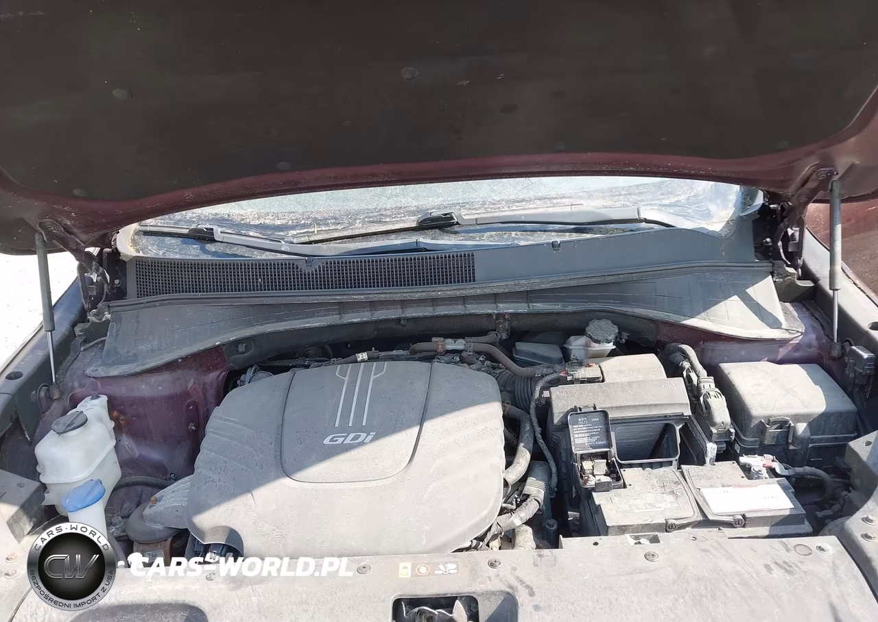 2016 Kia Sorento 3.3L Ex VIN:5XYPHDA5XGG065225 - 10
