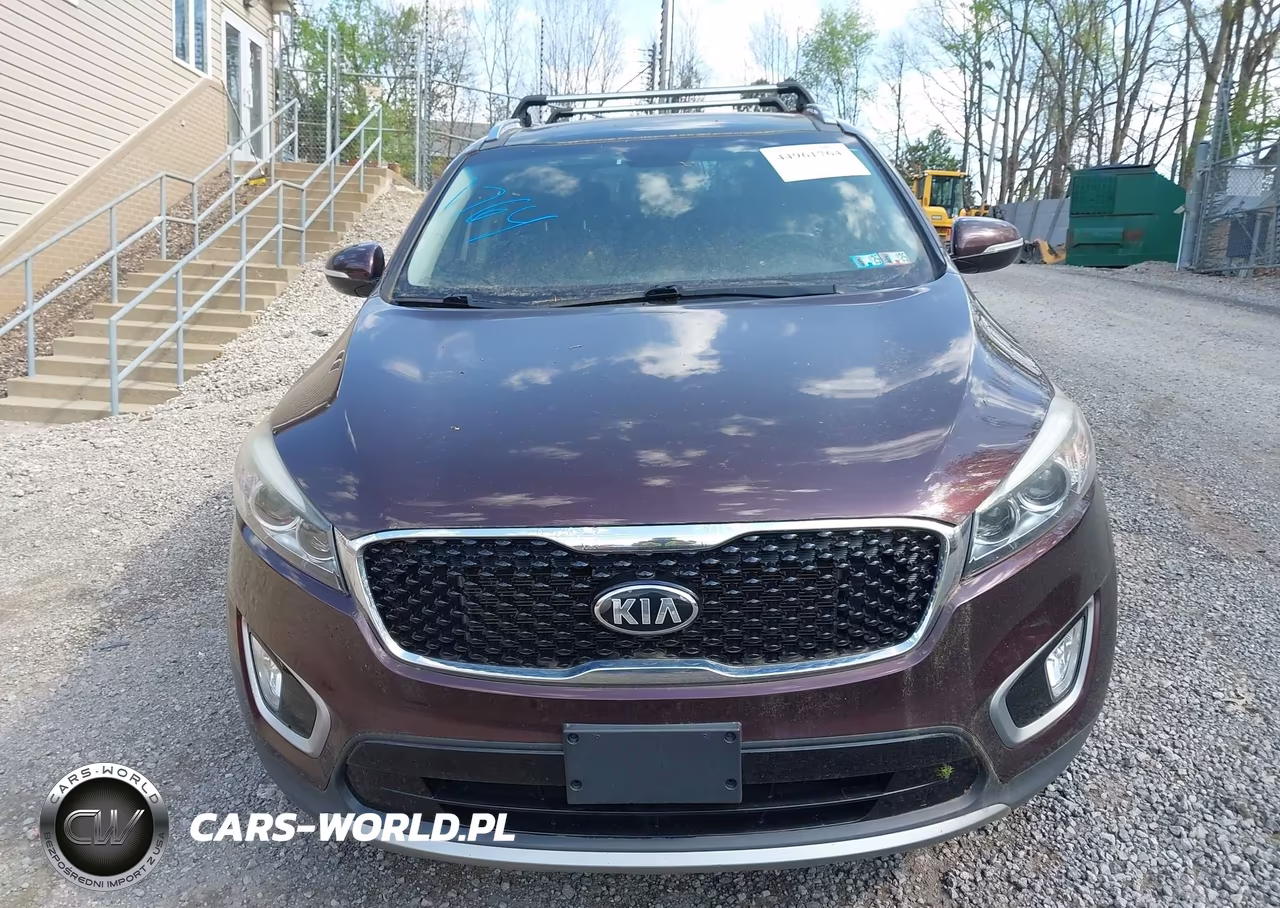 2016 Kia Sorento 3.3L Ex VIN:5XYPHDA5XGG065225 - 12