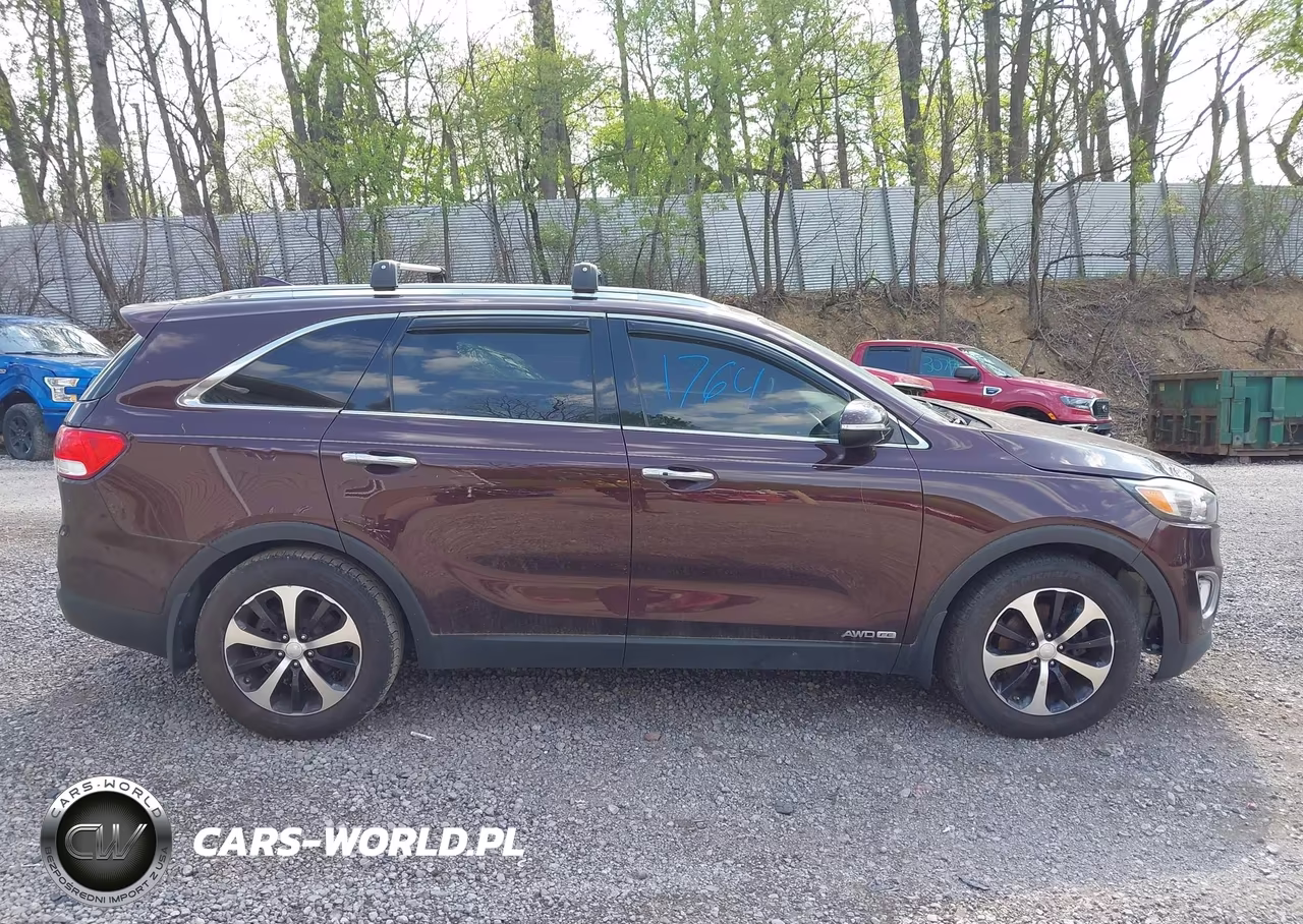 2016 Kia Sorento 3.3L Ex VIN:5XYPHDA5XGG065225 - 13