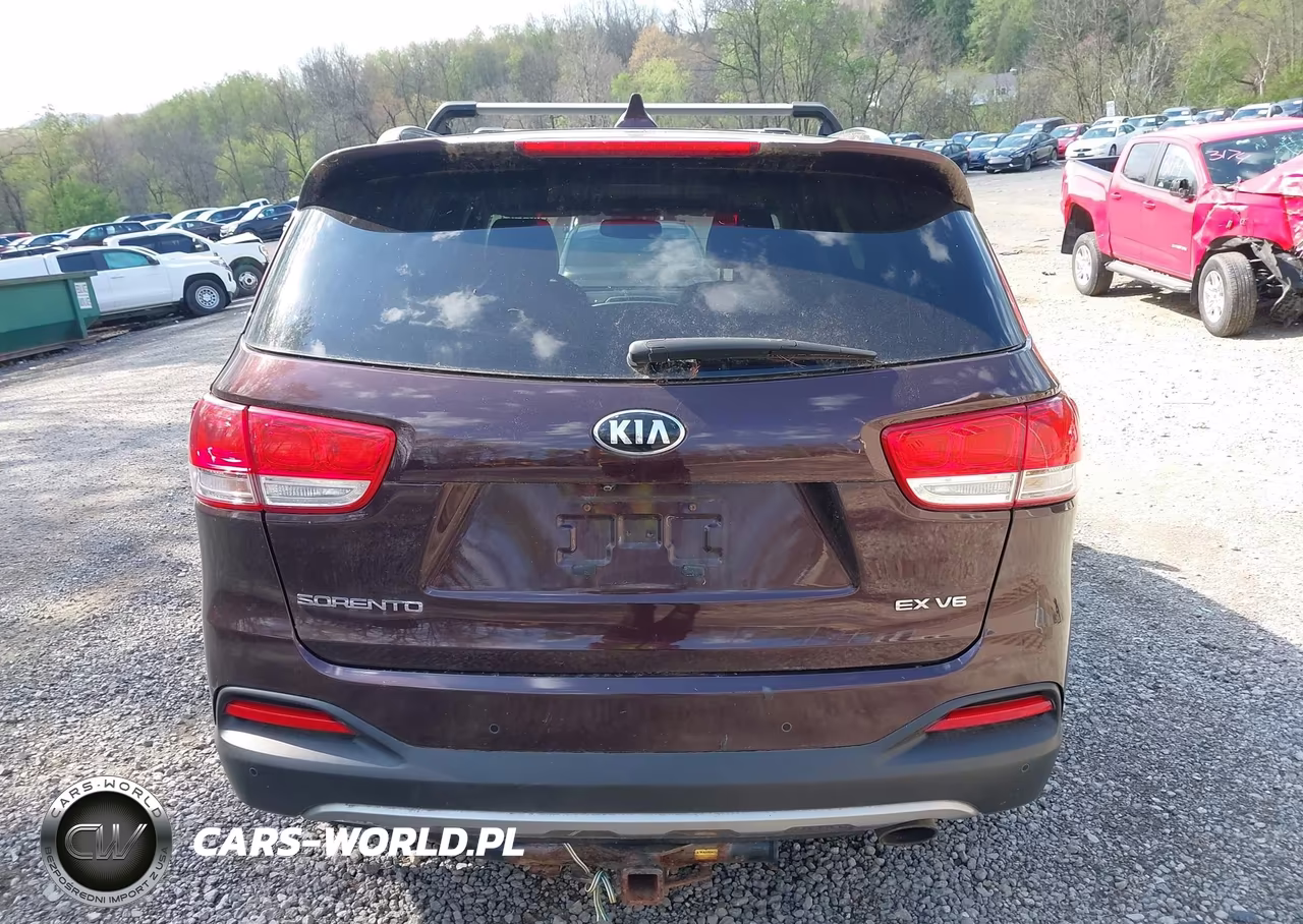 2016 Kia Sorento 3.3L Ex VIN:5XYPHDA5XGG065225 - 16
