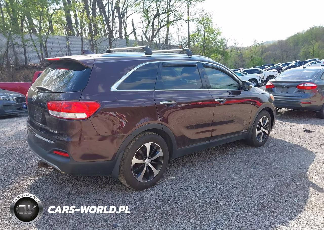 2016 Kia Sorento 3.3L Ex VIN:5XYPHDA5XGG065225 - 4