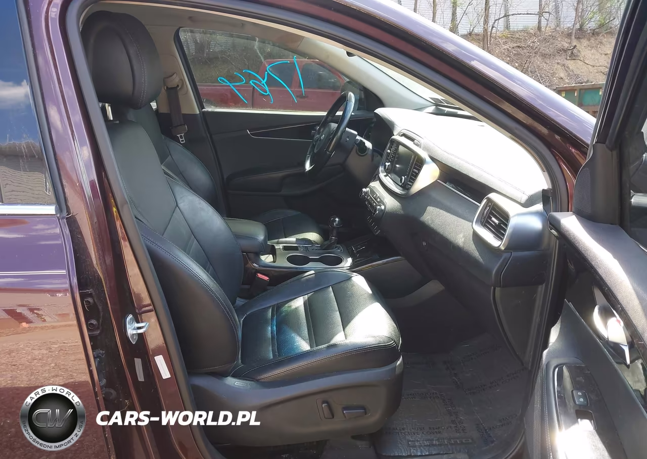 2016 Kia Sorento 3.3L Ex VIN:5XYPHDA5XGG065225 - 5