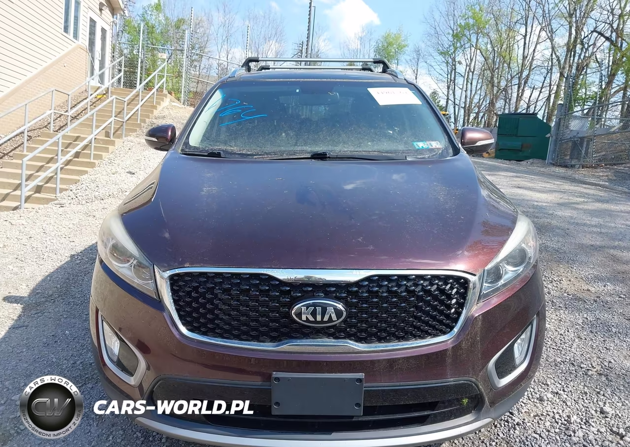 2016 Kia Sorento 3.3L Ex VIN:5XYPHDA5XGG065225 - 6