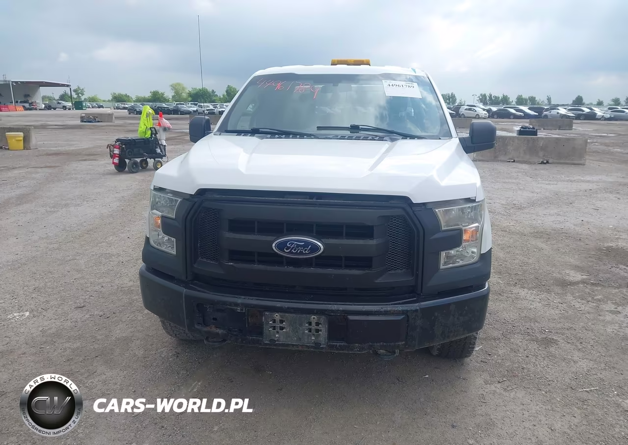 2015 Ford F-150 Xl VIN:1FTEX1E85FFA71979 - 12