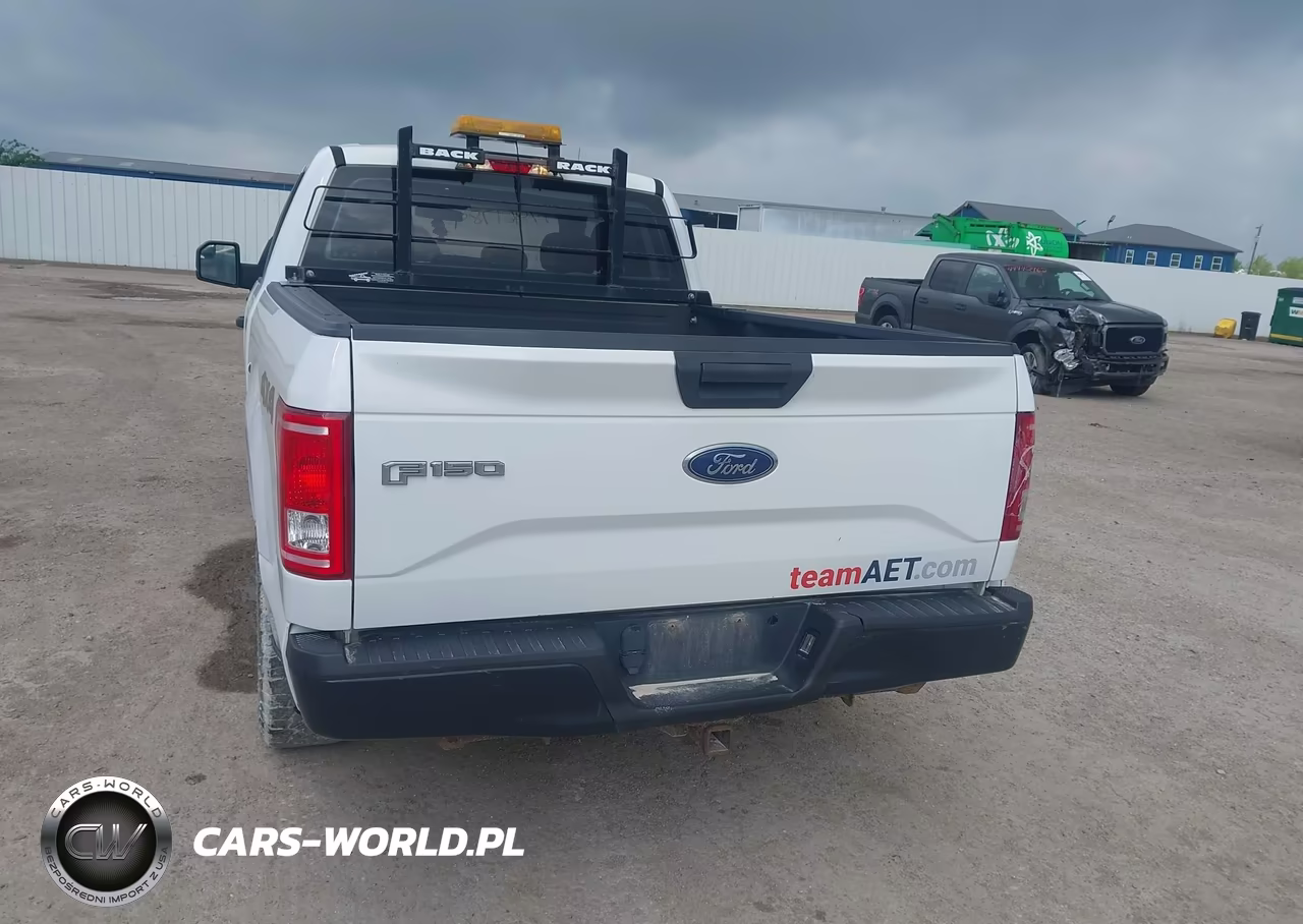 2015 Ford F-150 Xl VIN:1FTEX1E85FFA71979 - 16