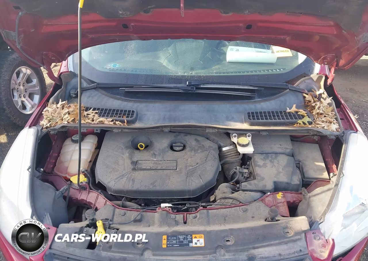 2013 Ford Escape Se VIN:1FMCU0G9XDUC23548 - 10