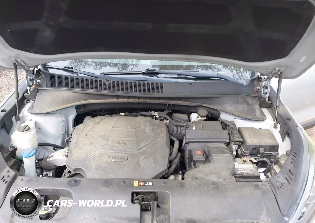 2019 Kia Sorento 3.3L Lx VIN:5XYPGDA5XKG572783 - 10