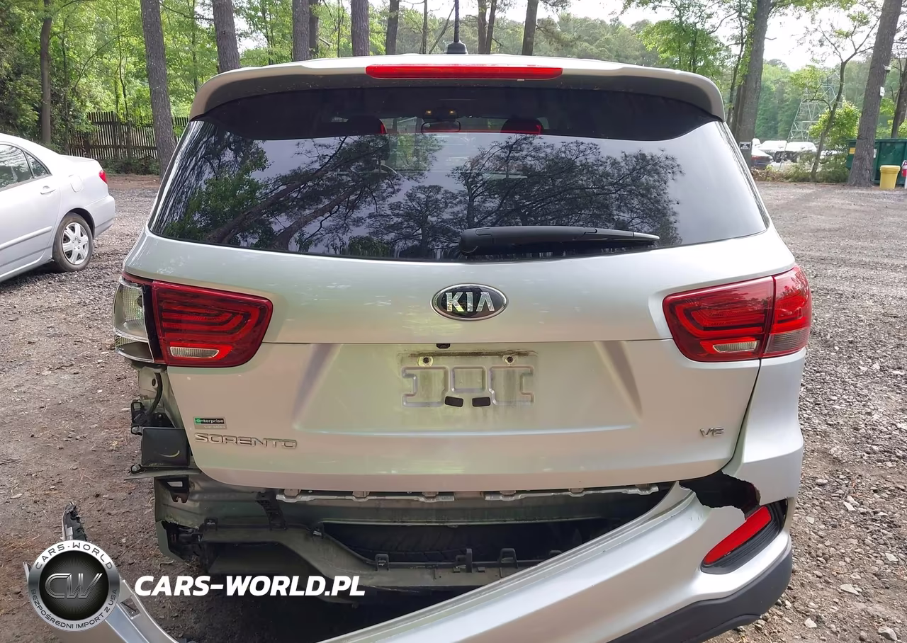 2019 Kia Sorento 3.3L Lx VIN:5XYPGDA5XKG572783 - 17