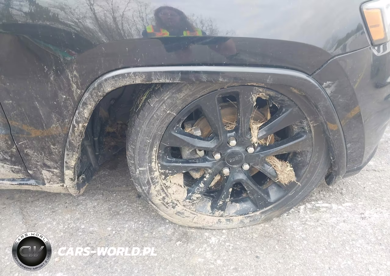 2019 Jeep Grand Cherokee Altitude 4X4 VIN:1C4RJFAG1KC561683 - 6