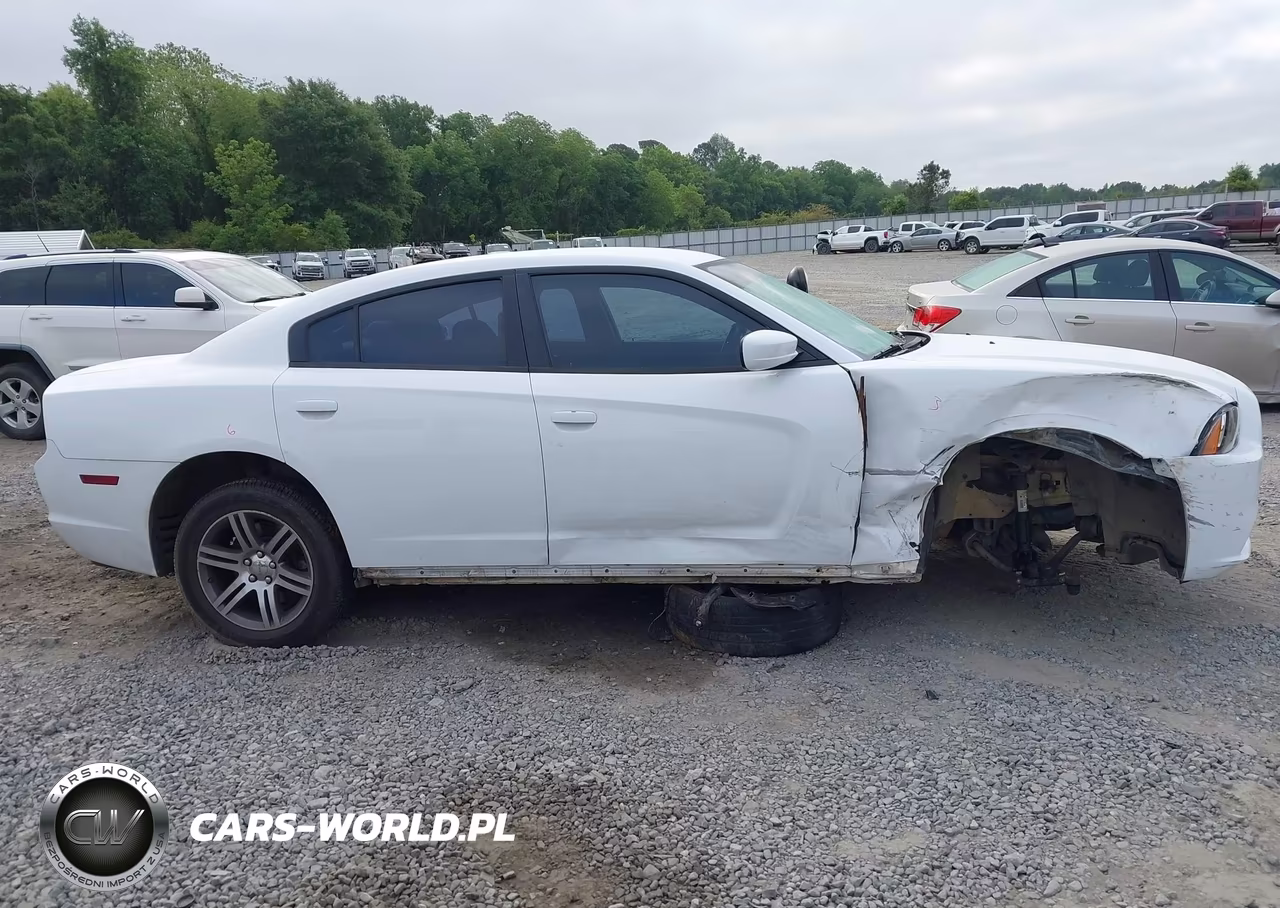 2013 Dodge Charger Police VIN:2C3CDXAT7DH627707 - 13