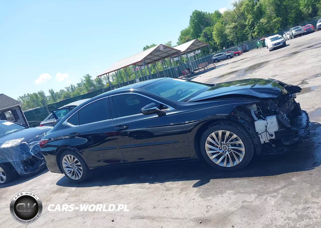 2019 Lexus Es 350 Luxury VIN:58ABZ1B13KU025825 - 14