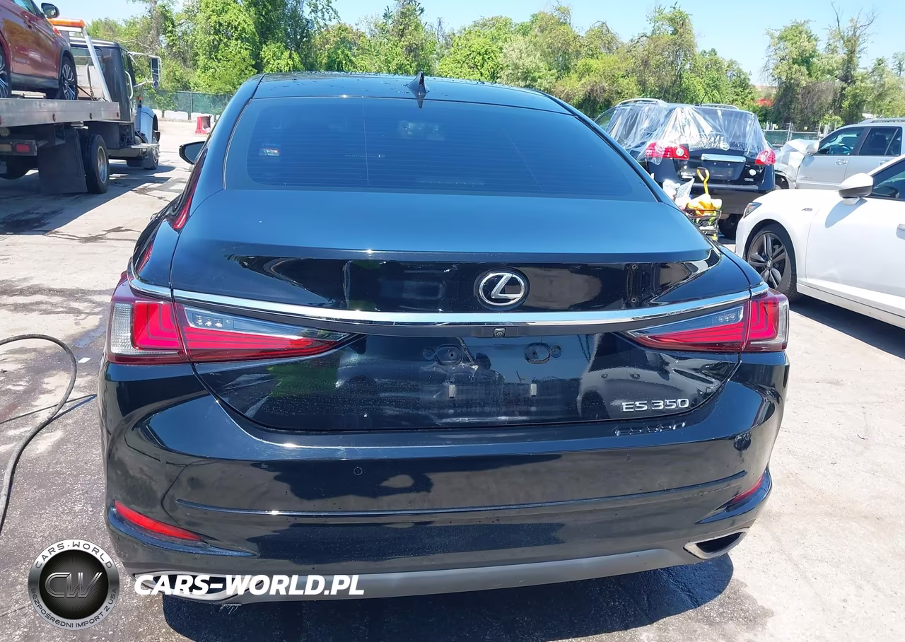 2019 Lexus Es 350 Luxury VIN:58ABZ1B13KU025825 - 17