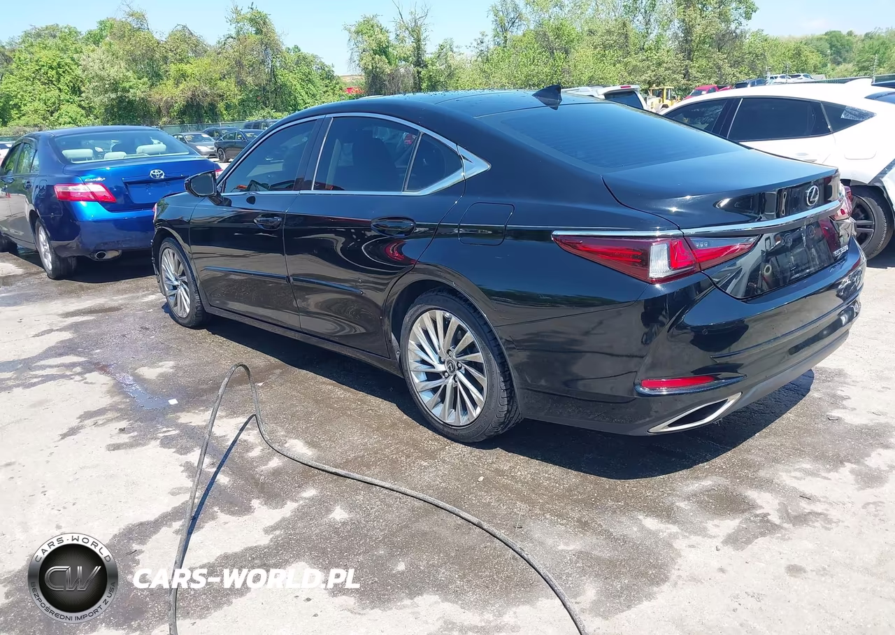 2019 Lexus Es 350 Luxury VIN:58ABZ1B13KU025825 - 3