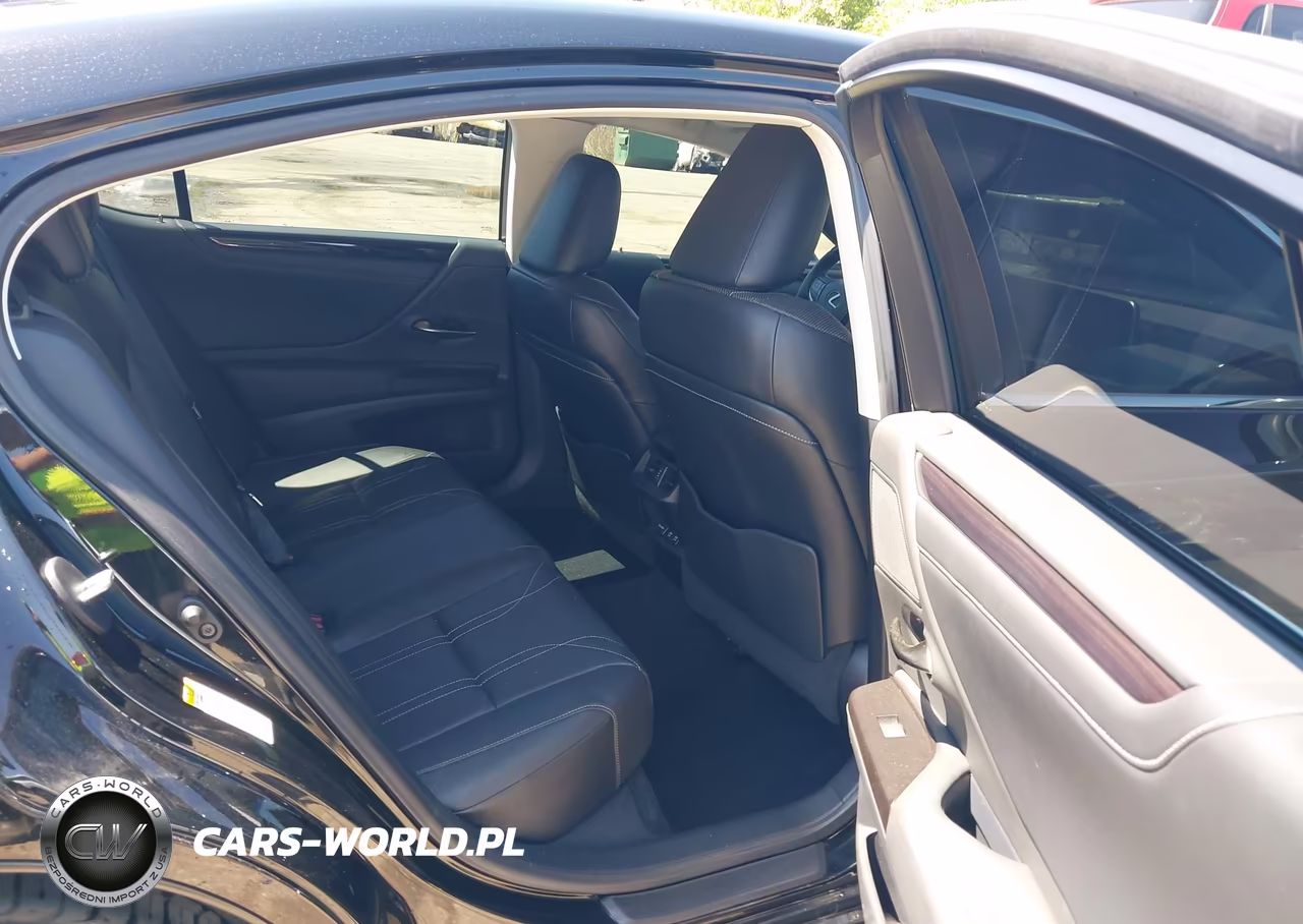 2019 Lexus Es 350 Luxury VIN:58ABZ1B13KU025825 - 8