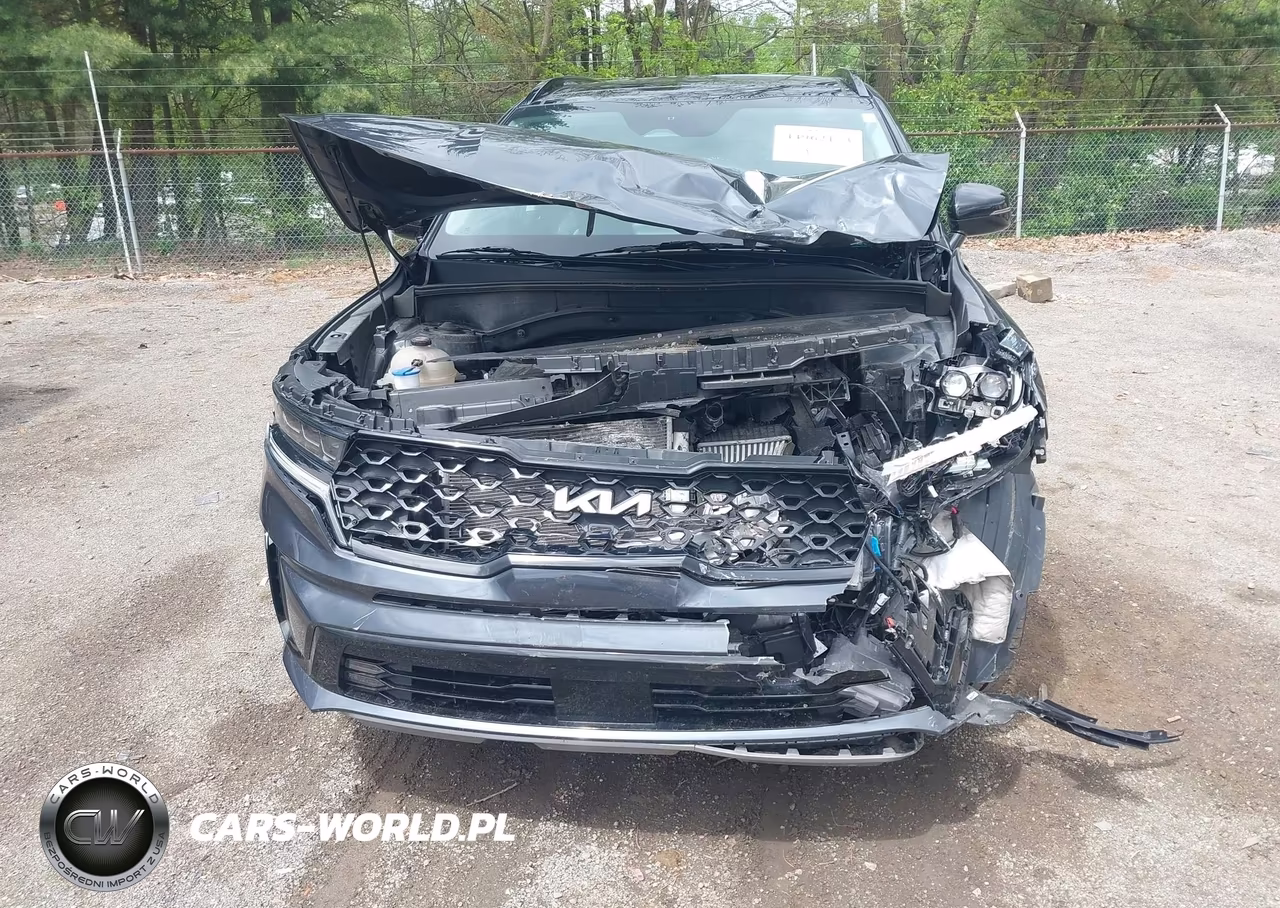 2023 Kia Sorento Sx VIN:5XYRK4LF5PG242439 - 12