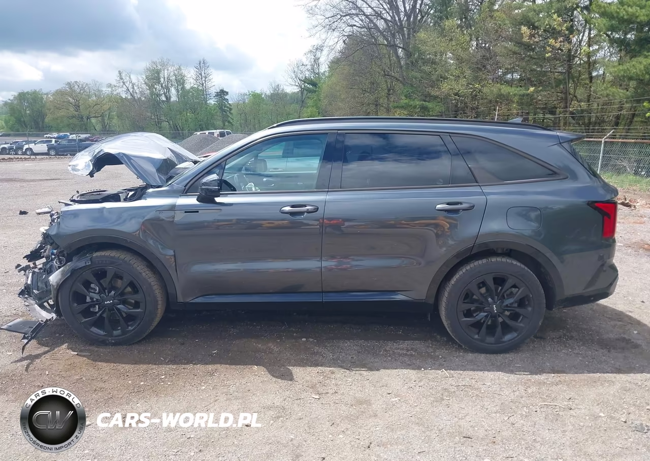 2023 Kia Sorento Sx VIN:5XYRK4LF5PG242439 - 14