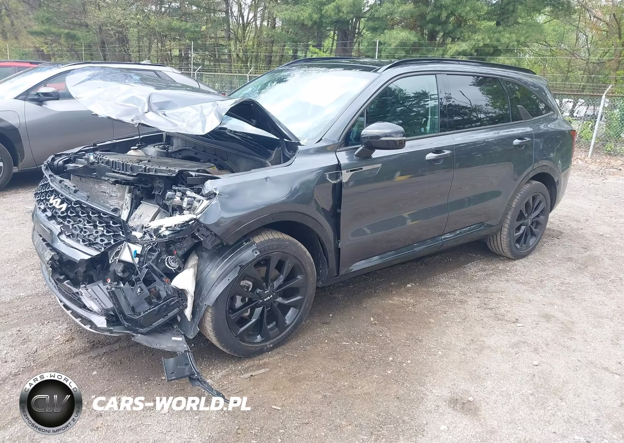 2023 Kia Sorento Sx VIN:5XYRK4LF5PG242439 - 2