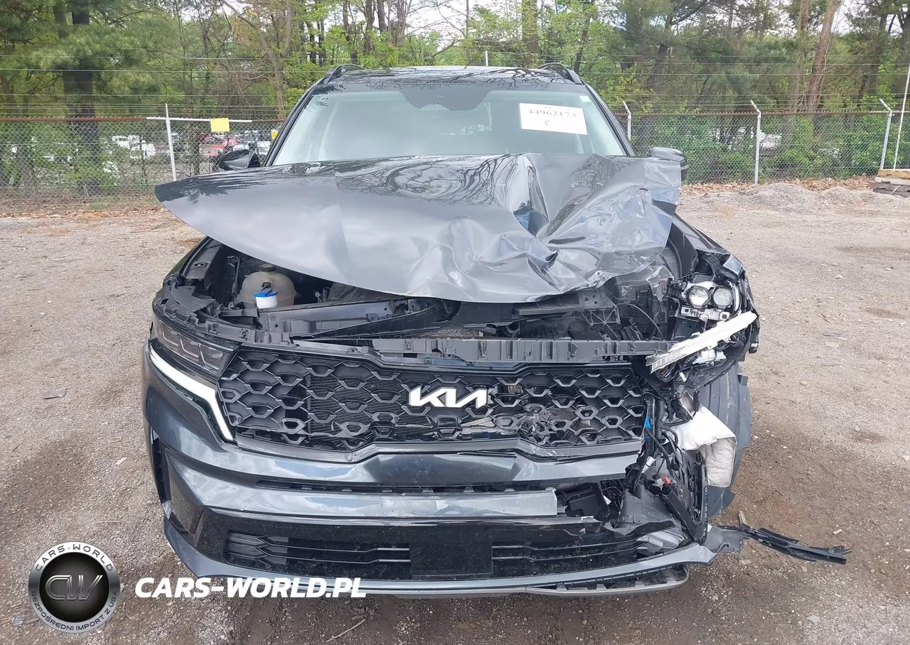 2023 Kia Sorento Sx VIN:5XYRK4LF5PG242439 - 6
