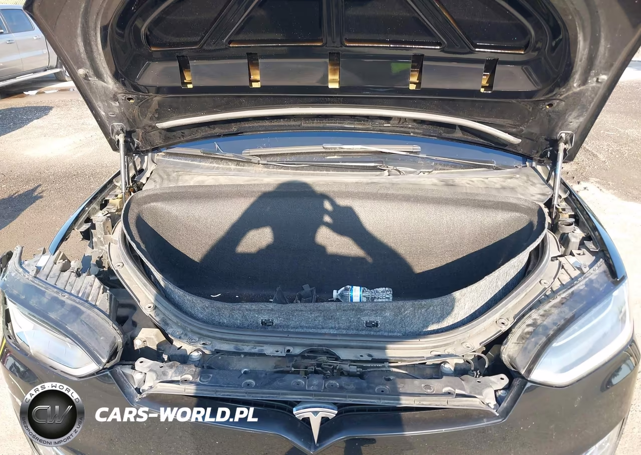 2018 Tesla Model X 100D-75D-P100D VIN:5YJXCBE44JF138091 - 10