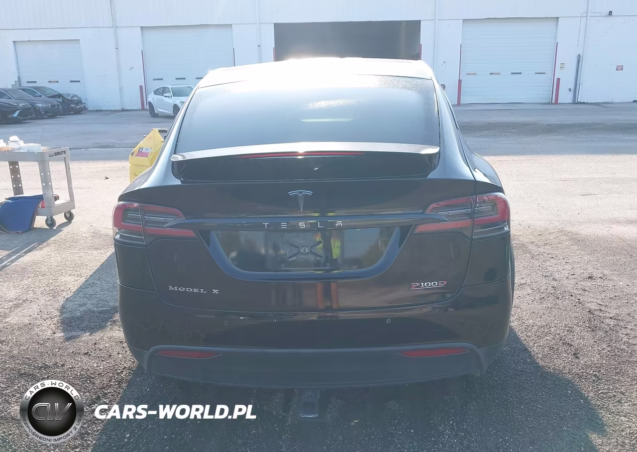 2018 Tesla Model X 100D-75D-P100D VIN:5YJXCBE44JF138091 - 16