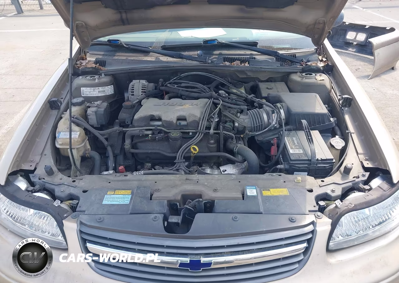 2001 Chevrolet Malibu VIN:1G1ND52J616206010 - 10