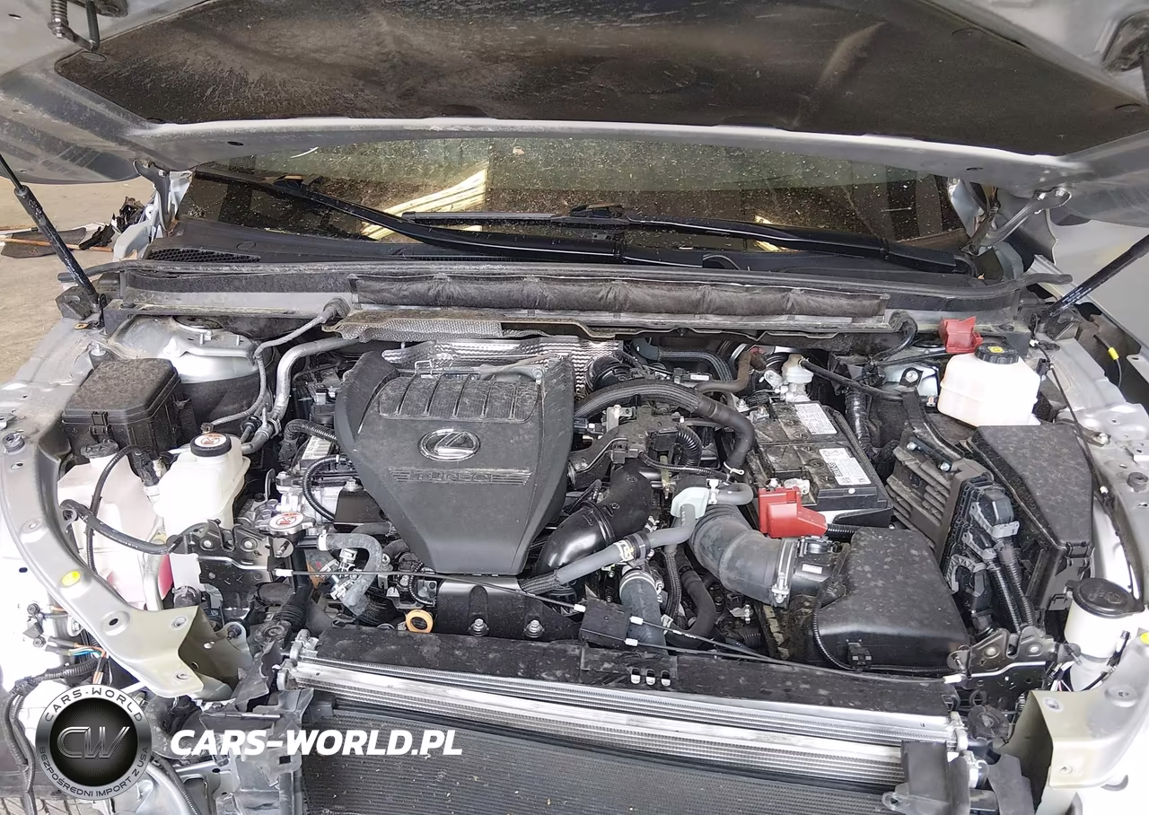 2024 Lexus Rx 350 F Sport Handling VIN:2T2BAMCA2RC051192 - 10