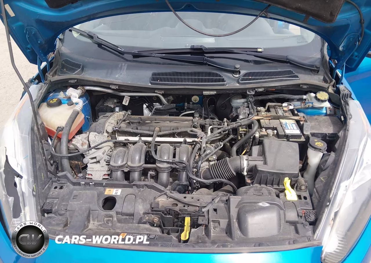 2015 Ford Fiesta Se VIN:3FADP4BJ3FM126407 - 10