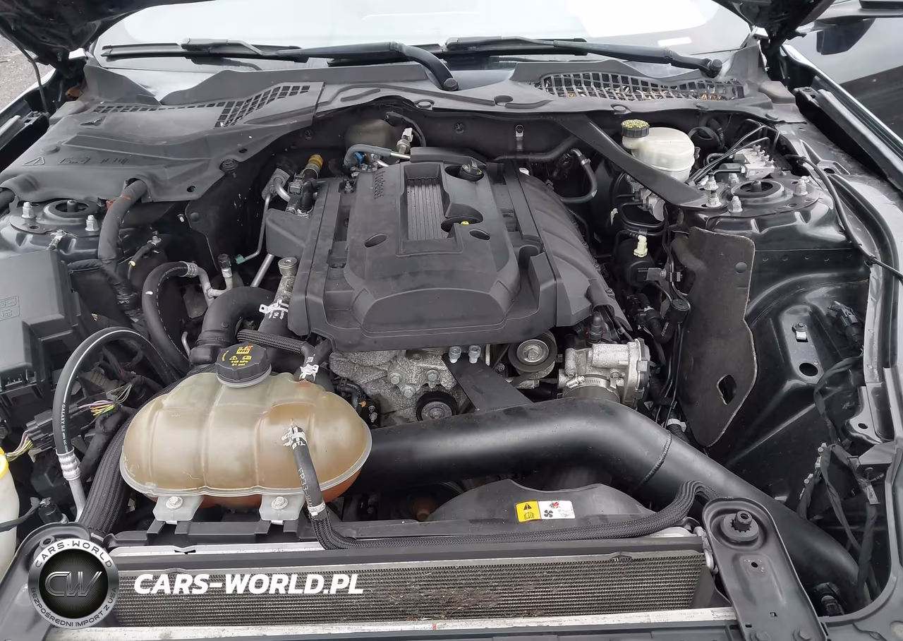 FORD MUSTANG VIN:1FATP8UH2H5287546 - 10