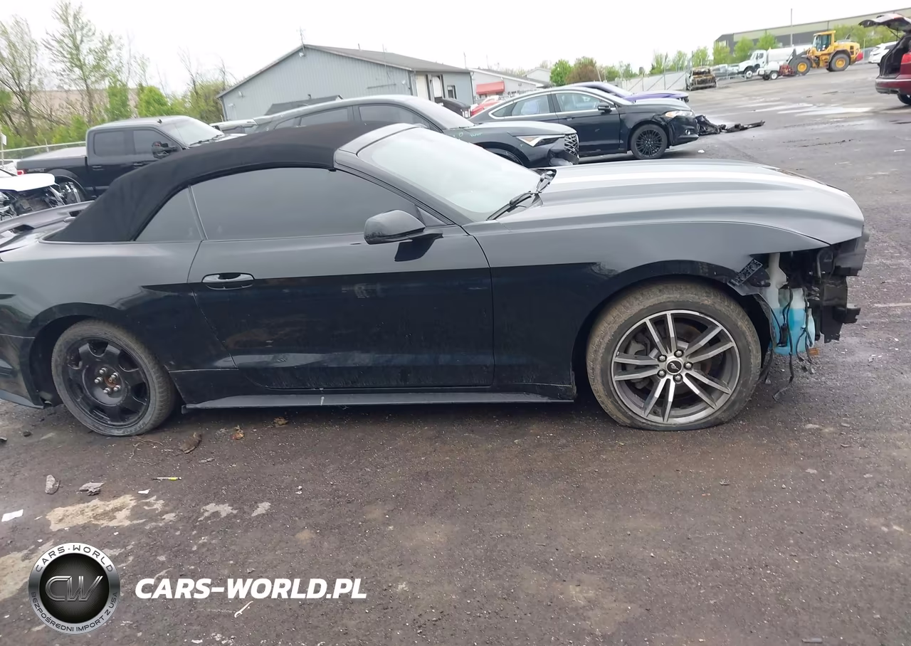 FORD MUSTANG VIN:1FATP8UH2H5287546 - 13