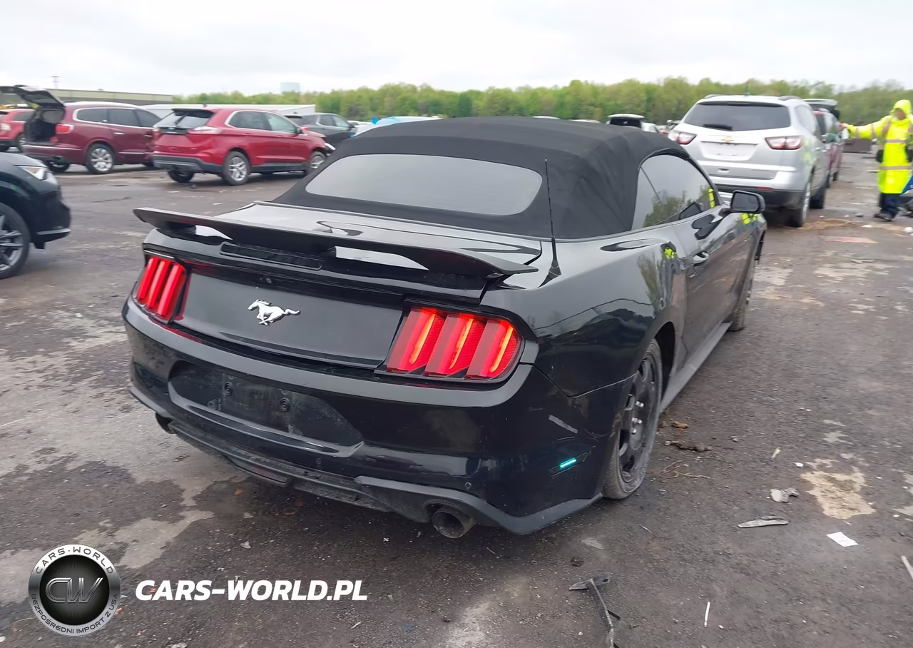 FORD MUSTANG VIN:1FATP8UH2H5287546 - 4