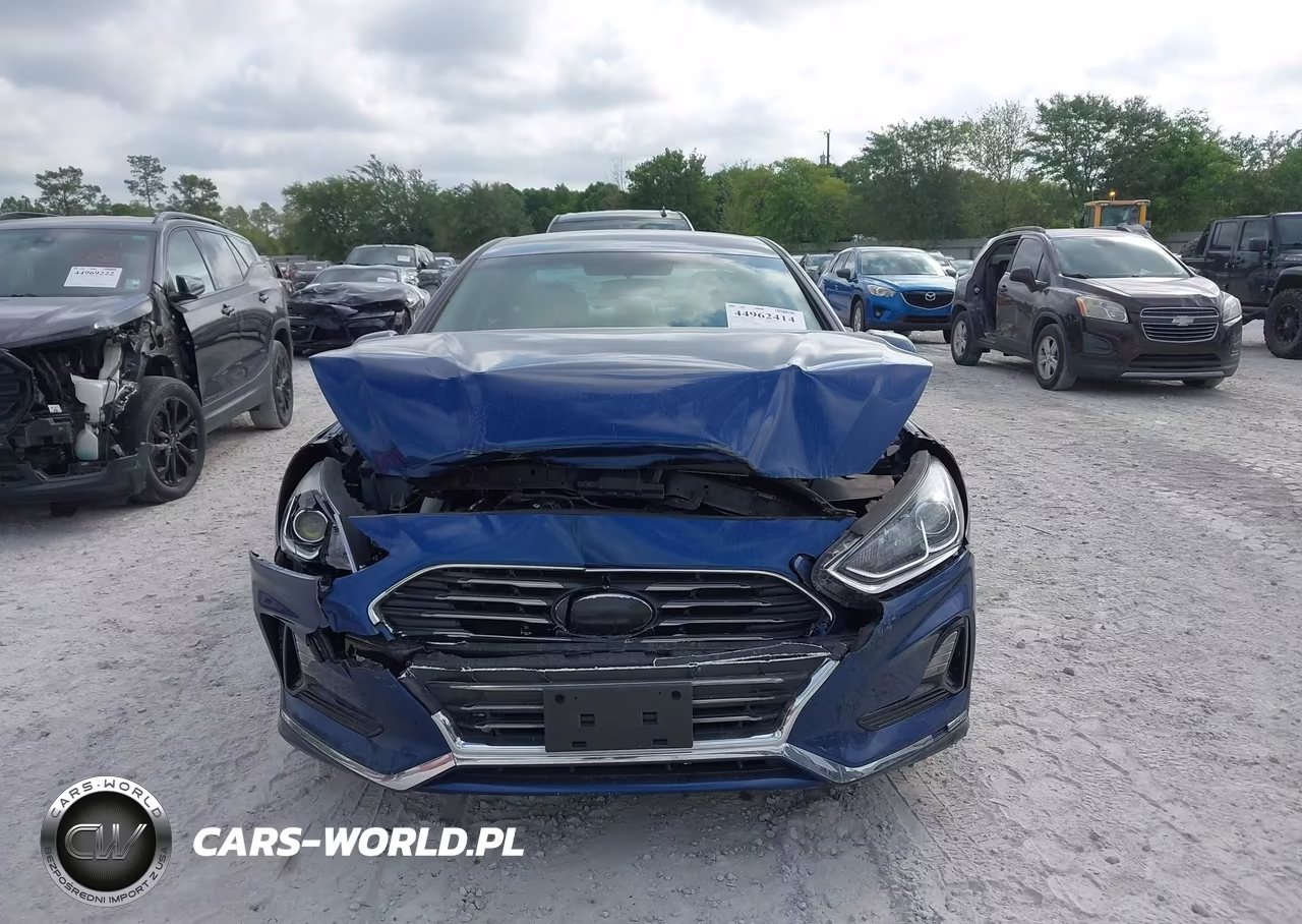 2019 Hyundai Sonata Se VIN:5NPE24AF8KH792656 - 12